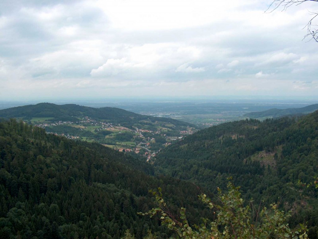 Black Forest, Germany (creative commons)