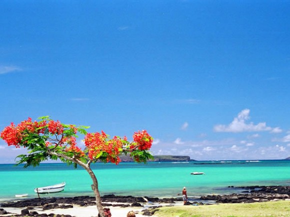 Mauritius (Creative Commons)