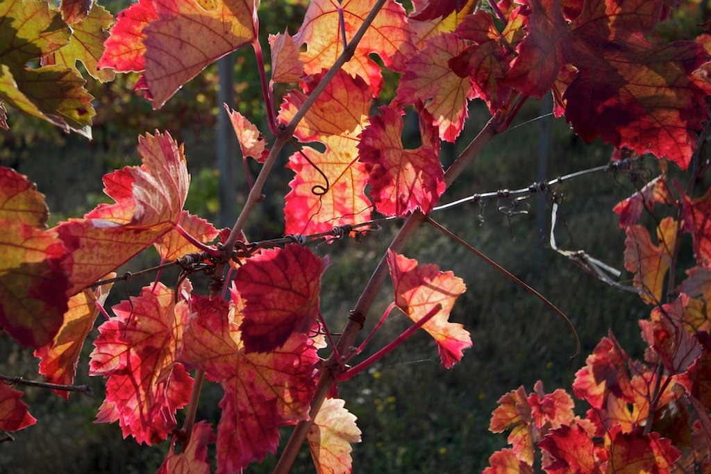 4 things to do in London this Autumn